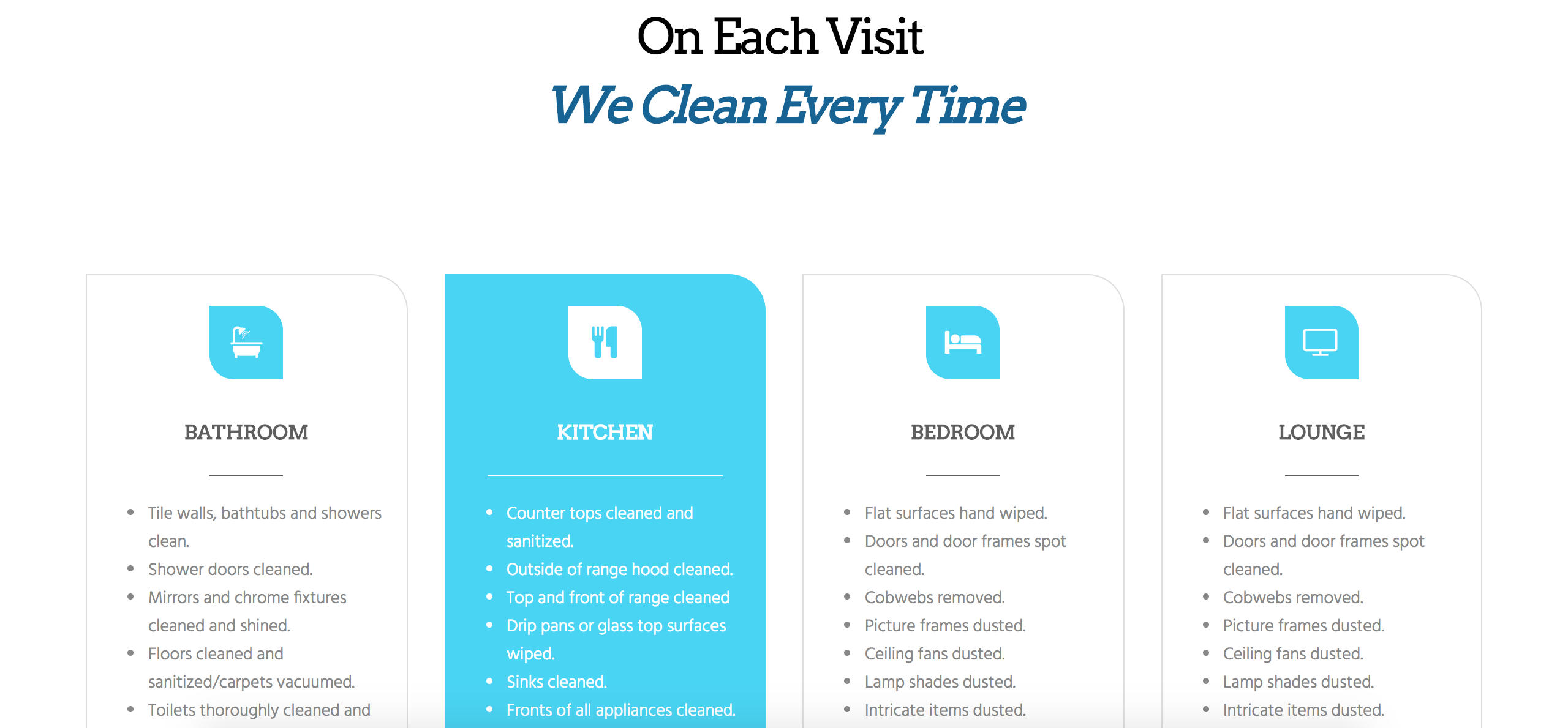 cleaning website screenshot